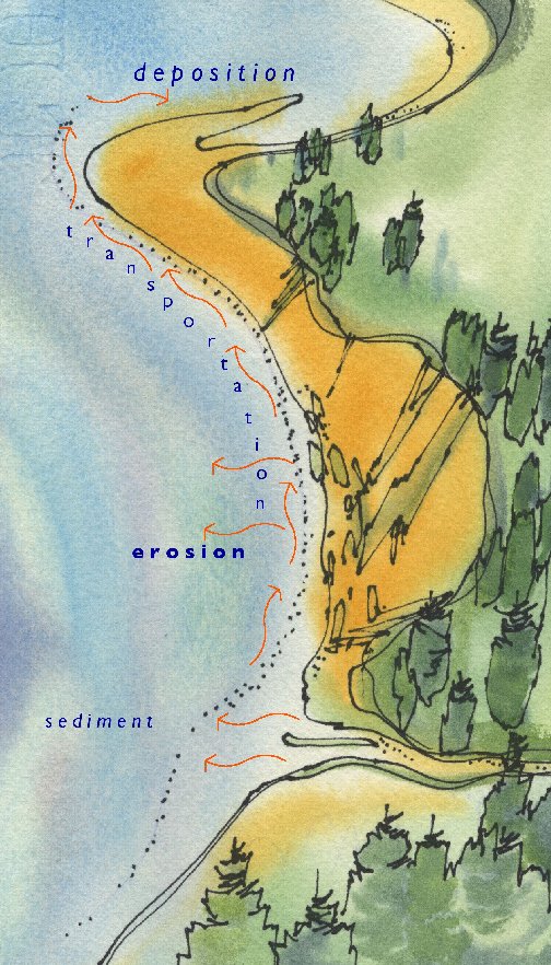 Image credit: Topographics Landscape Architecture nearshorebresize.jpg