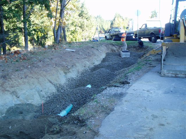 raingarden6.jpg raingarden6.jpg