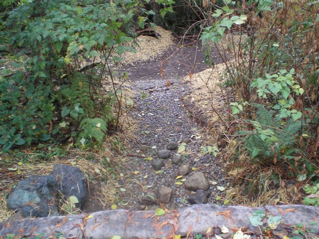 Stream channel habitat along Romney Creek romney_stream_habitat.jpg